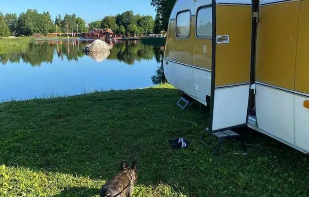 Berkinge Bad & Fiskecamp