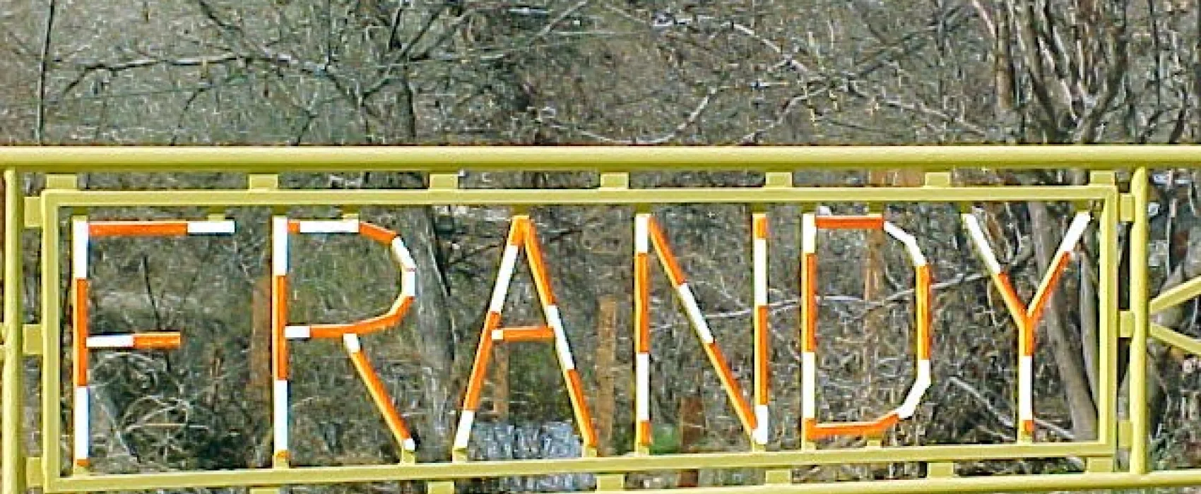 Frandy Park