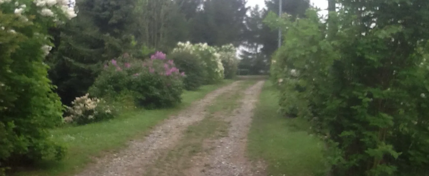 Wohnpark Brockenblick