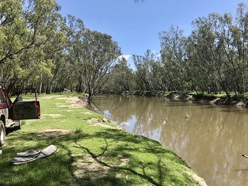 Berry Jerry Precinct Campground photo 4