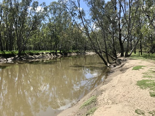 Berry Jerry Precinct Campground photo 2