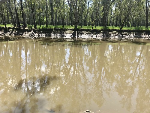 Berry Jerry Precinct Campground photo 5