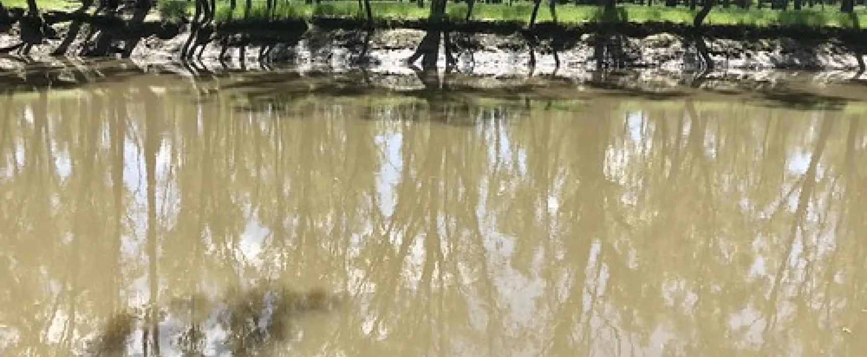 Berry Jerry Precinct Campground