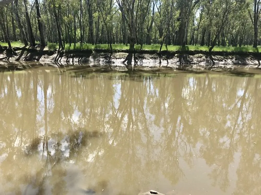 Berry Jerry Precinct Campground