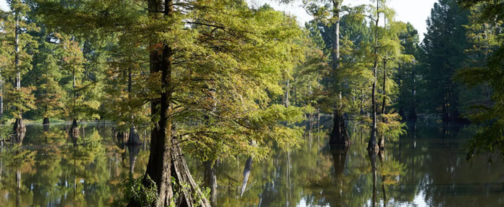 Lefleur's Bluff State Park