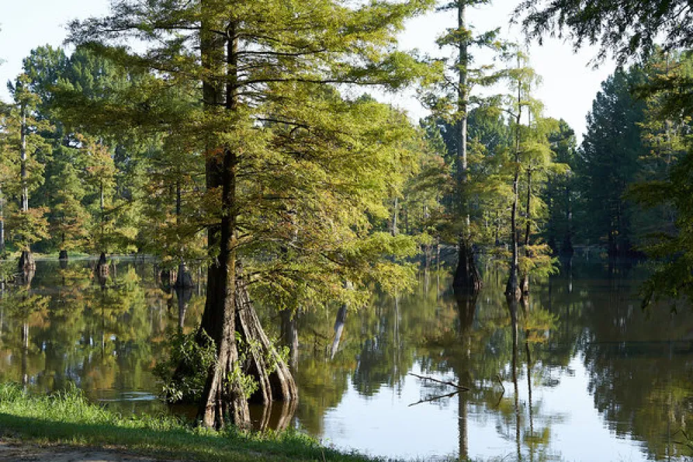 Lefleur's Bluff State Park