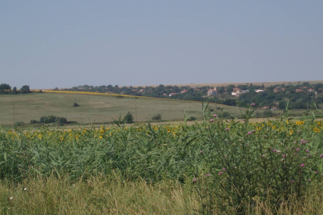 BulgariaCampsite 'wilola' photo 5