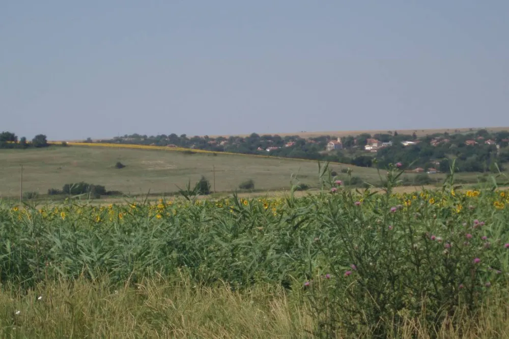 BulgariaCampsite 'wilola'