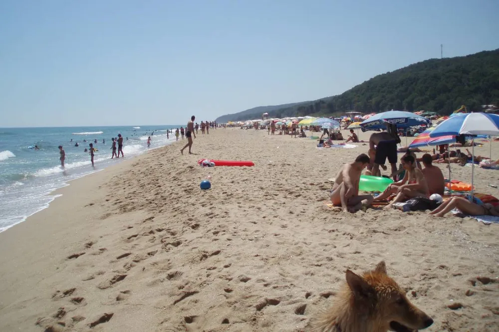 BulgariaCampsite 'wilola'