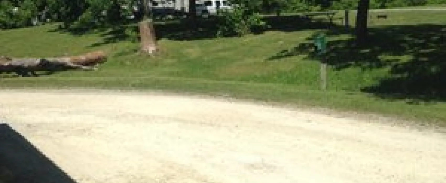 Deer Ridge Camping Resort