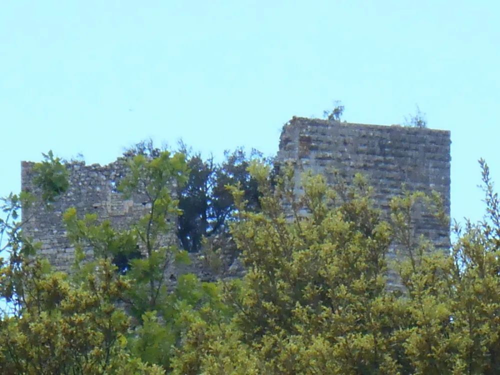 Chateau de Fereyrolles