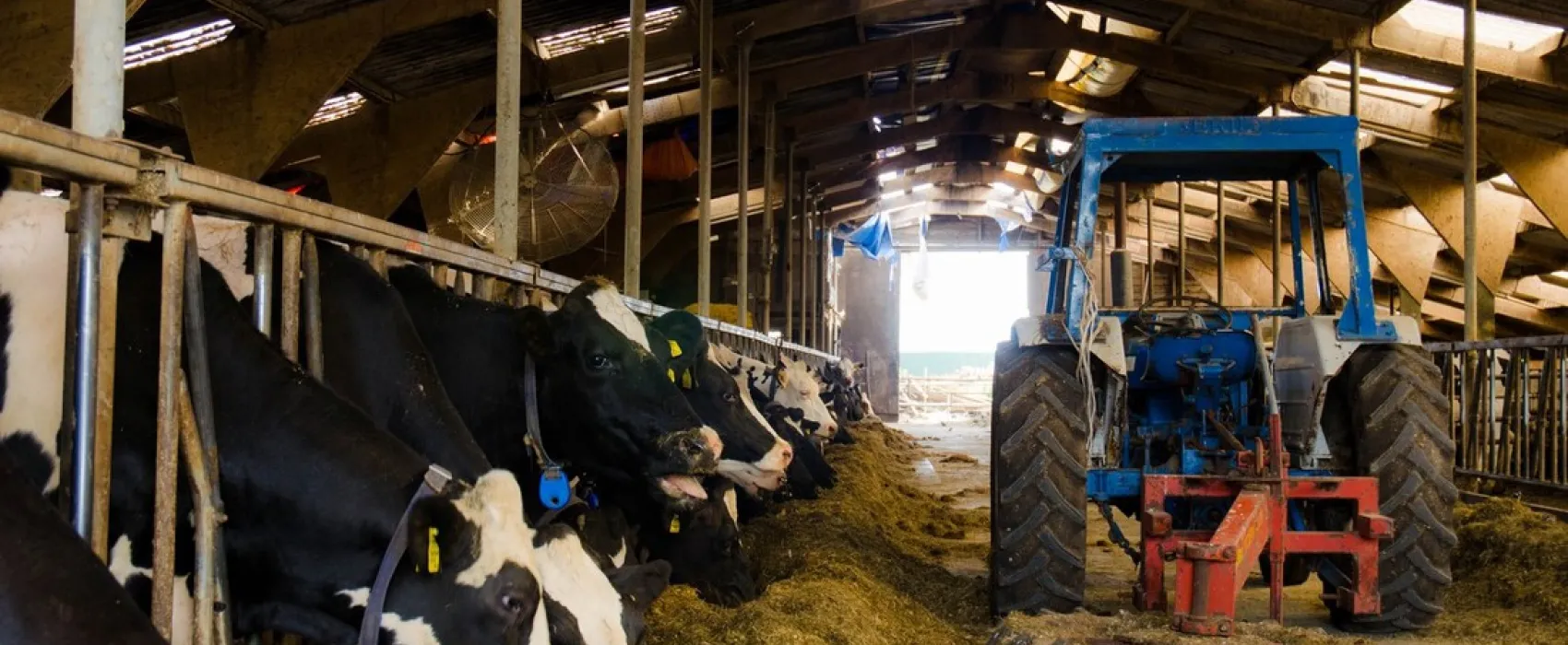 Groepsaccommodatie De Branding