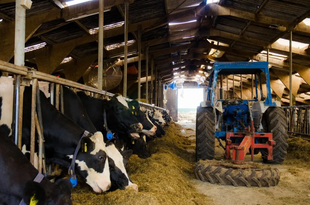 Groepsaccommodatie De Branding