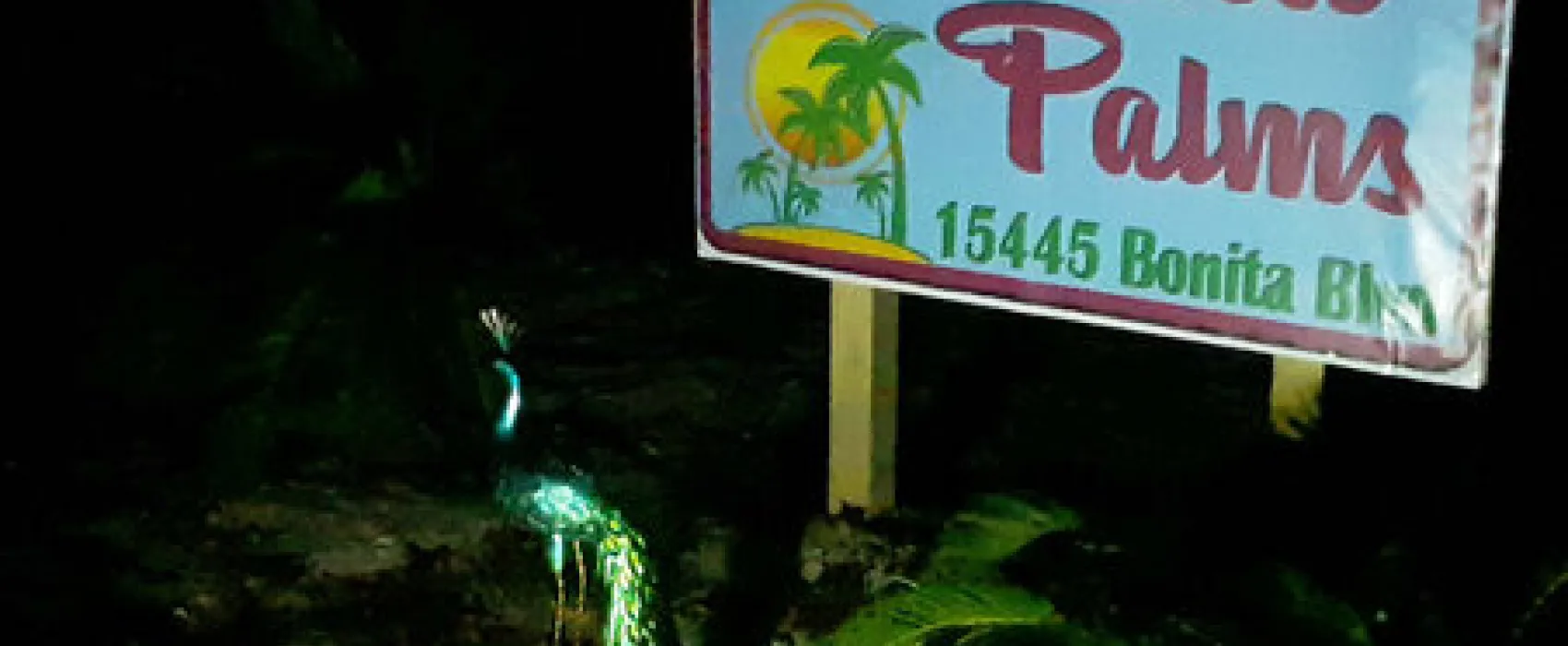 Bonita Palms RV Park