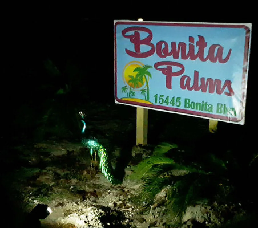 Bonita Palms RV Park