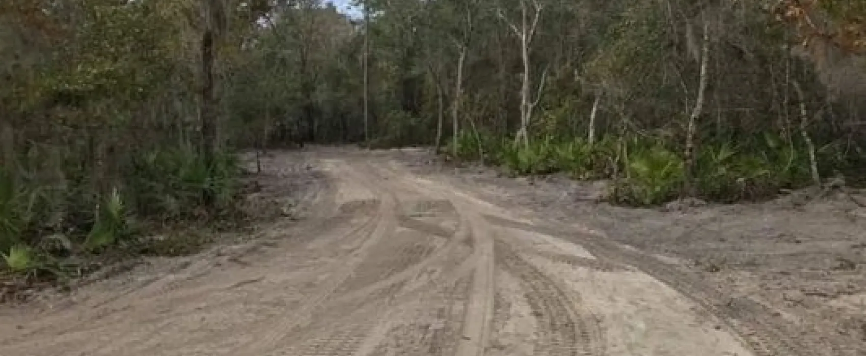 Bonita Palms RV Park