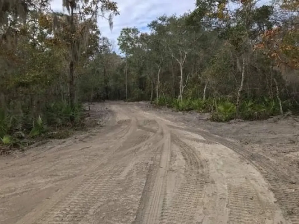 Bonita Palms RV Park