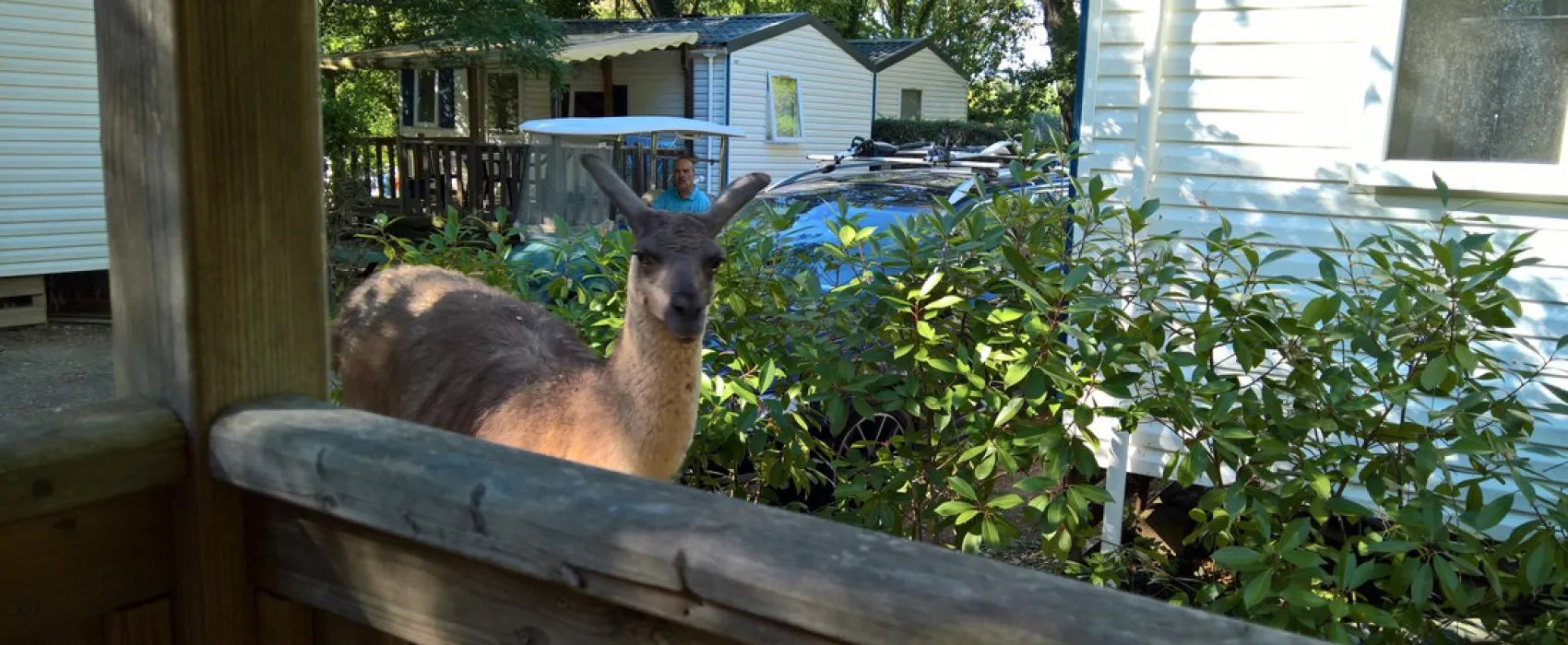 Capfun Château de Boisson