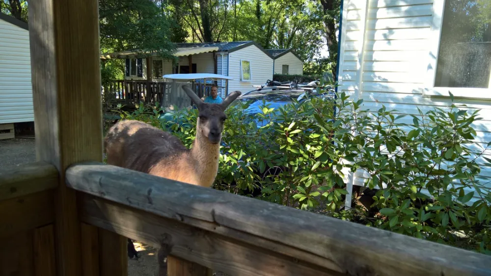 Capfun Château de Boisson