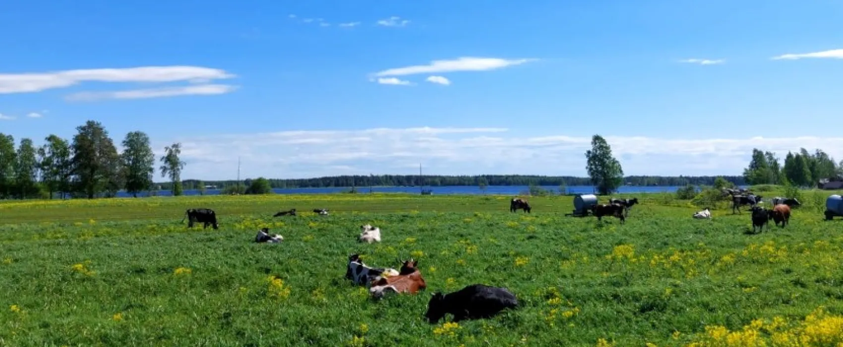 Kuusaa-Jokelan kylätalo Eurola