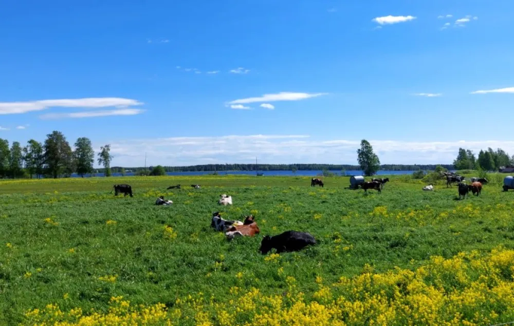 Kuusaa-Jokelan kylätalo Eurola