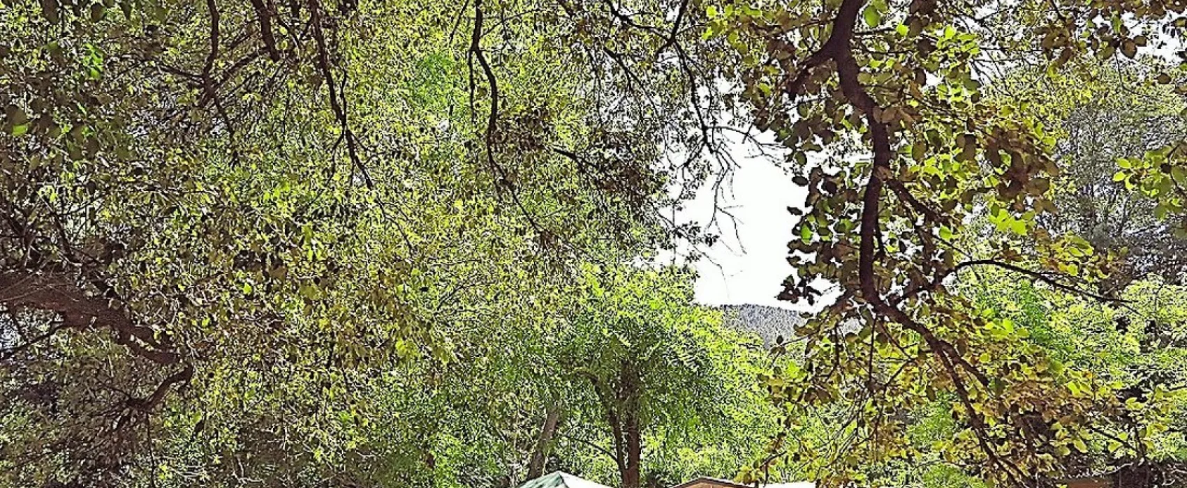 La Croix Clémentine