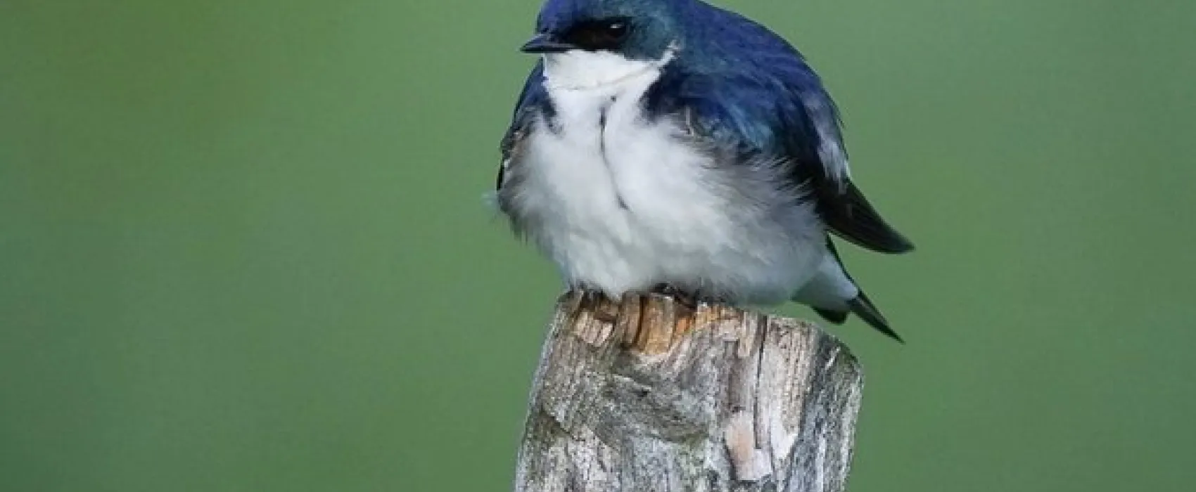 Heritage Cove Resort