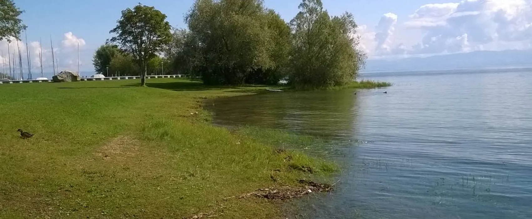 Schloss Helmsdorf OHG