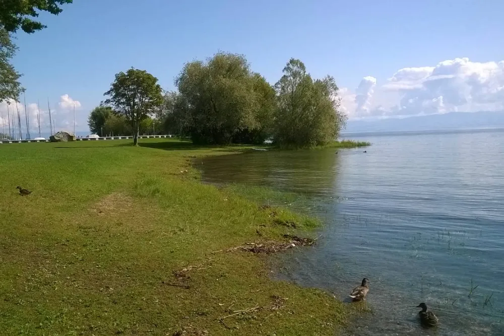 Schloss Helmsdorf OHG