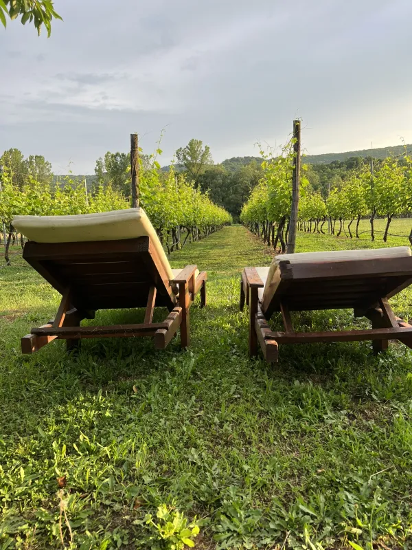 Purple Eye Estate - Camp & Winery (Jokaš)