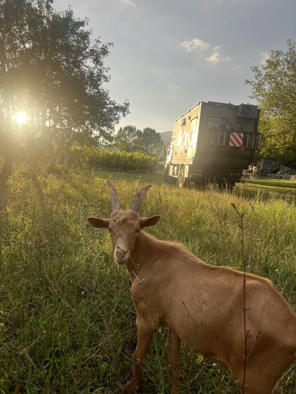 Purple Eye Estate - Camp & Winery (Jokaš)
