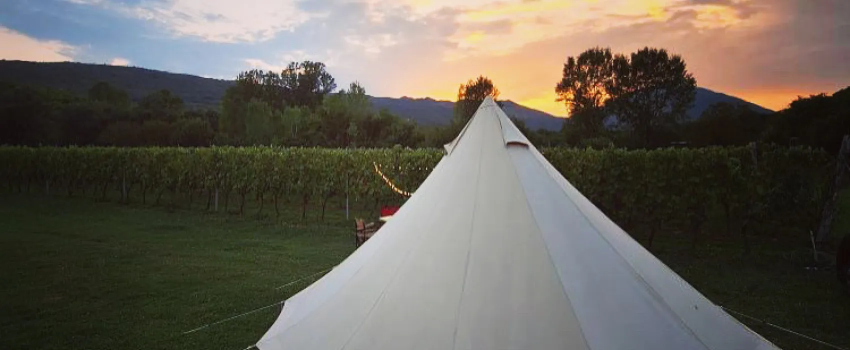 Purple Eye Estate - Camp & Winery (Jokaš)