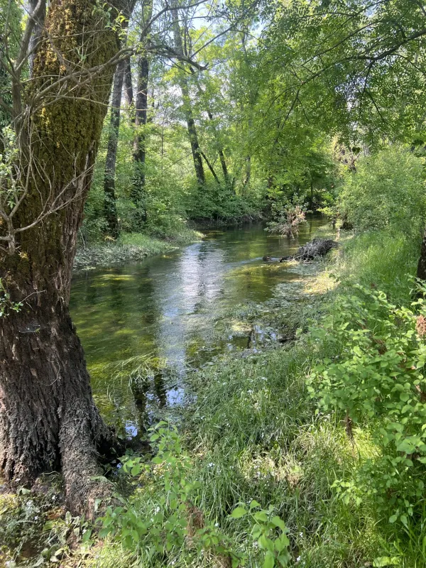 Purple Eye Estate - Camp & Winery (Jokaš)