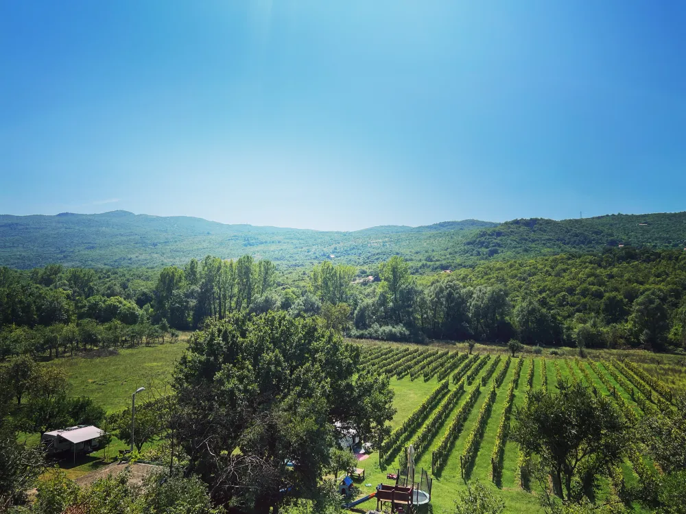 Purple Eye Estate - Camp & Winery (Jokaš)