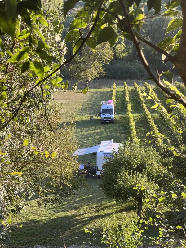 Purple Eye Estate - Camp & Winery (Jokaš)