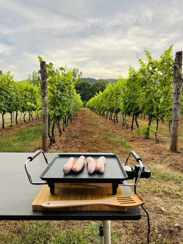 Purple Eye Estate - Camp & Winery (Jokaš)