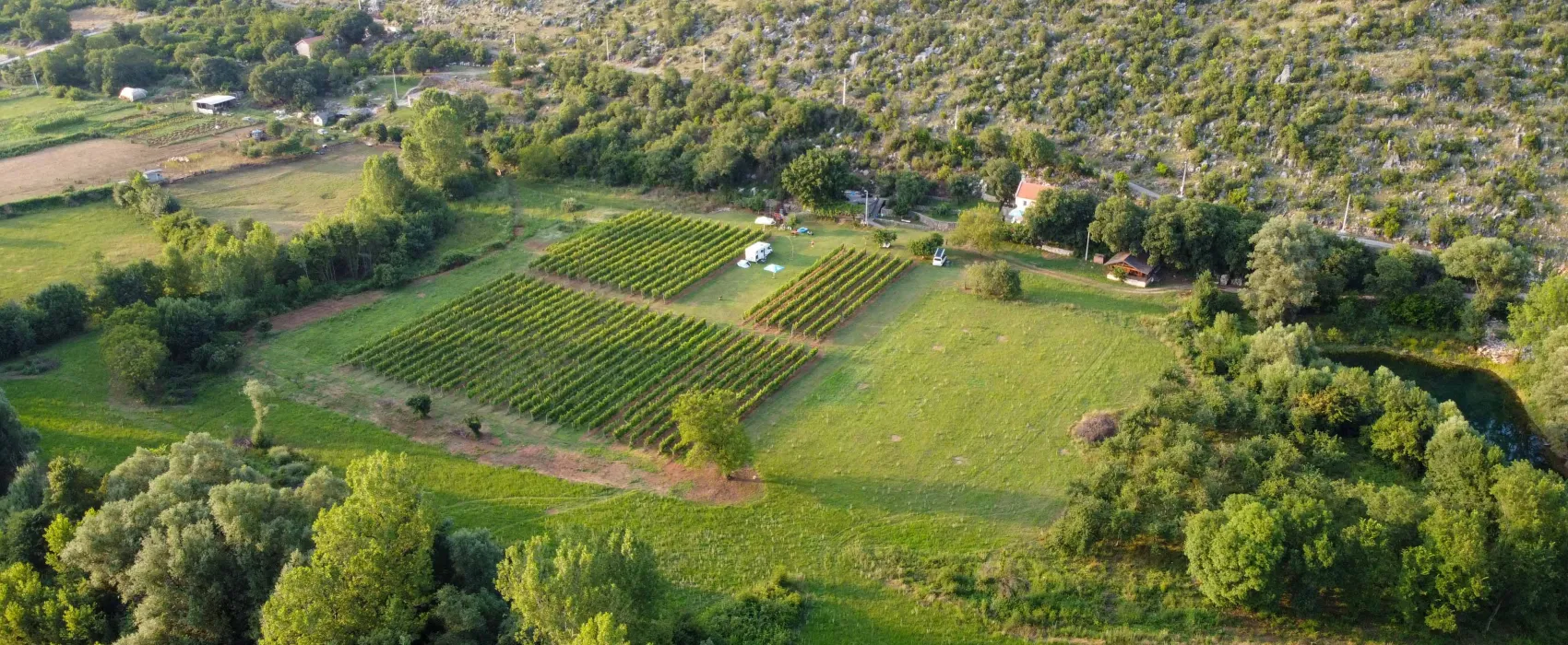 Purple Eye Estate - Camp & Winery (Jokaš)