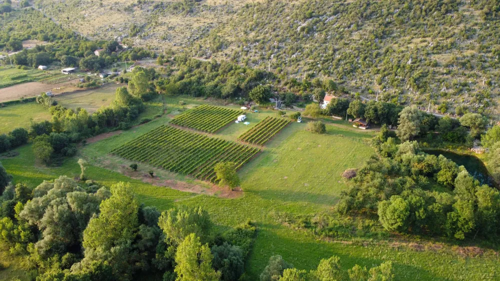 Purple Eye Estate - Camp & Winery (Jokaš)