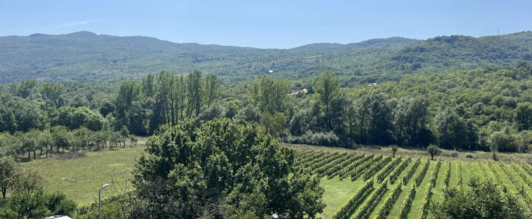 Purple Eye Estate - Camp & Winery (Jokaš)