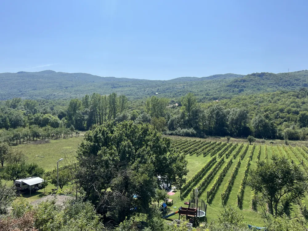 Purple Eye Estate - Camp & Winery (Jokaš)