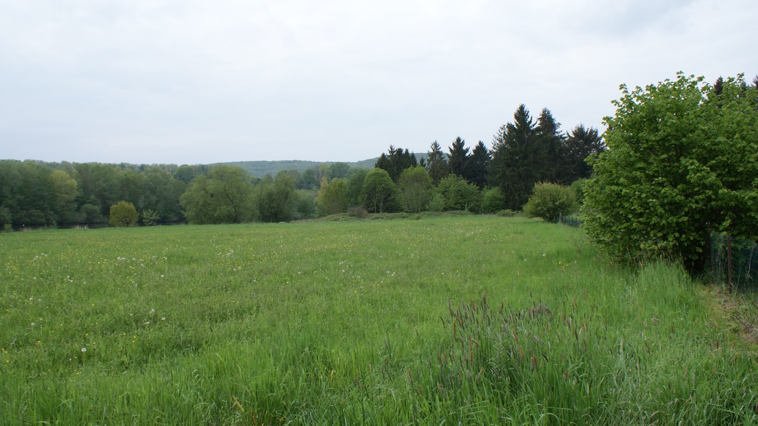 La Loqueresse - Photo 2