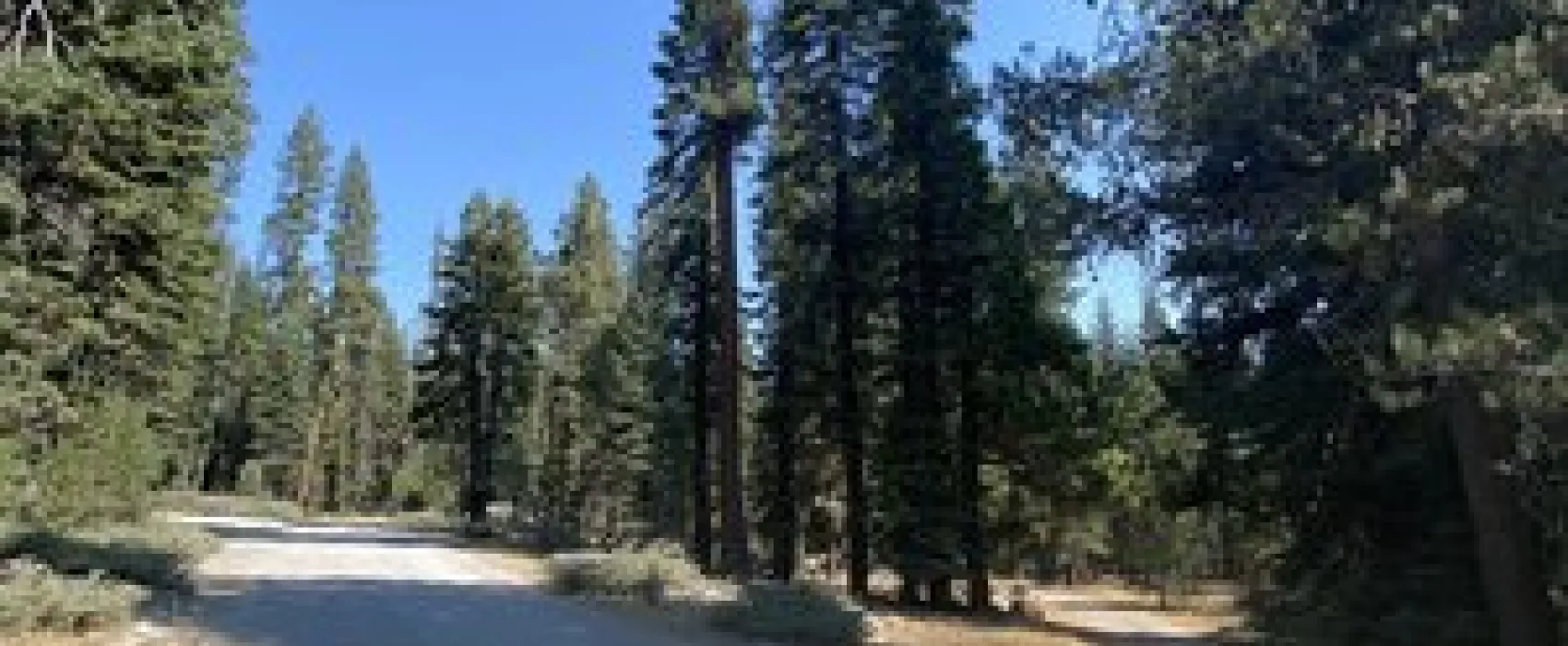 Benner Creek Campground