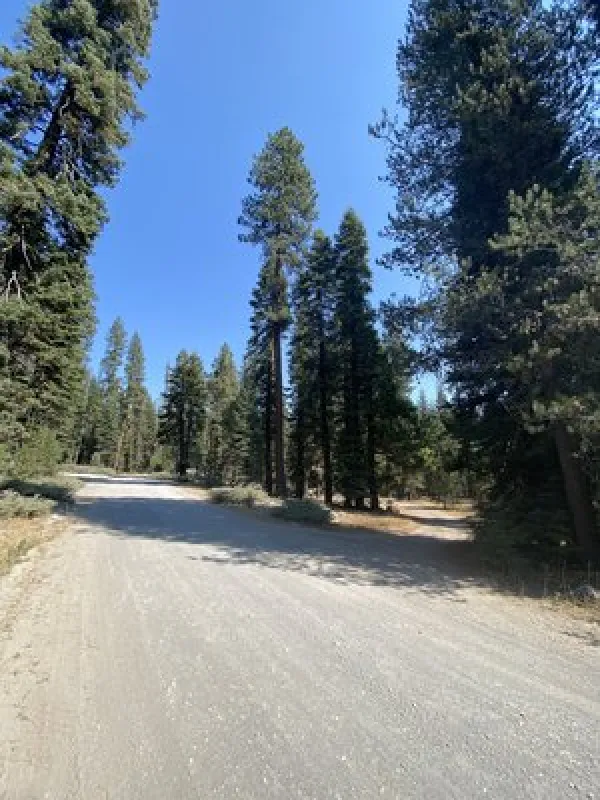 Benner Creek Campground