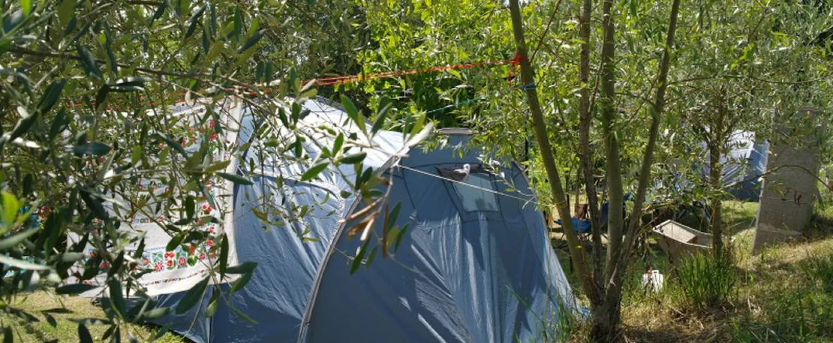 Agricamping l'Ulivetta