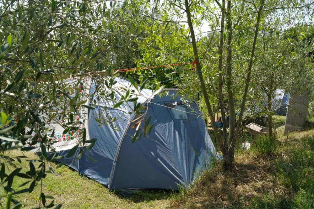 Agricamping l'Ulivetta