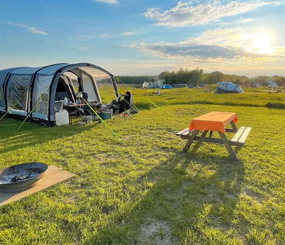 Walltree House Camping