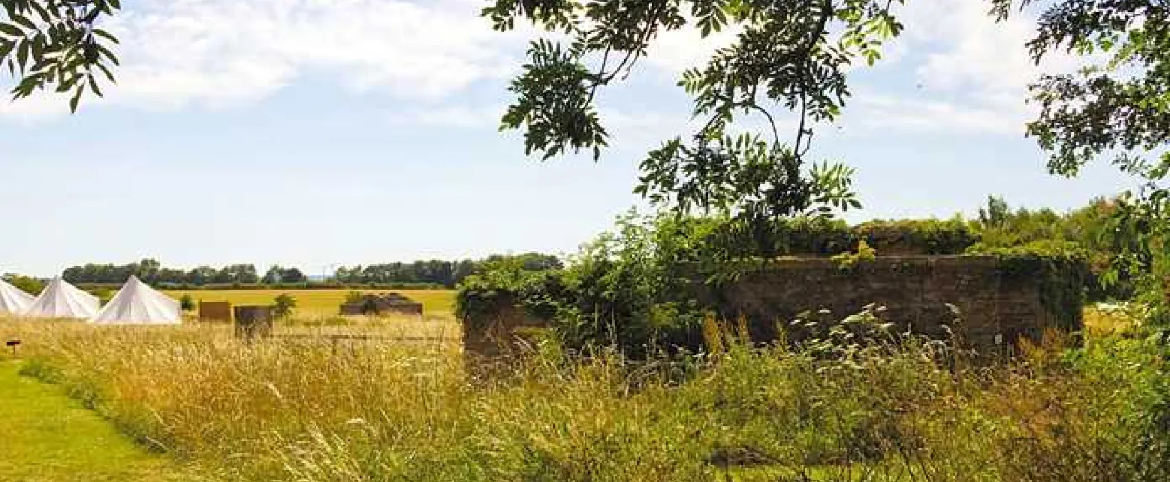 Walltree House Camping