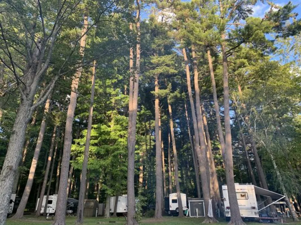 Timber Surf Camping Resort