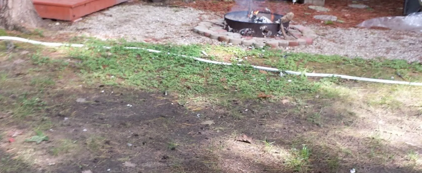 Timber Surf Camping Resort