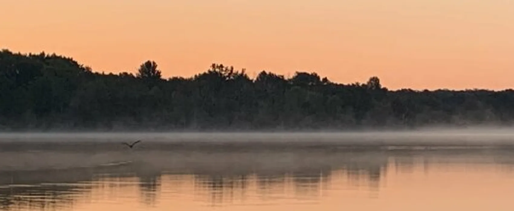 Timber Surf Camping Resort